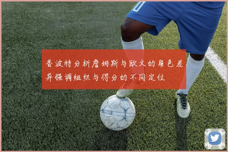 香波特分析詹姆斯与欧文的角色差异强调组织与得分的不同定位