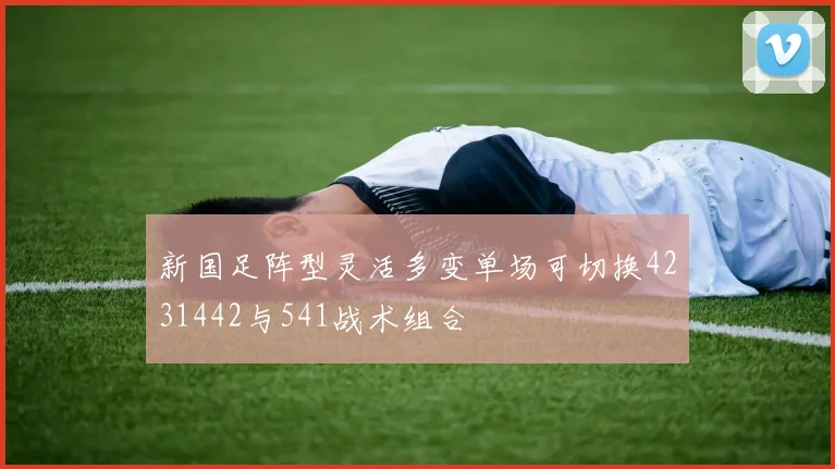 新国足阵型灵活多变单场可切换4231442与541战术组合